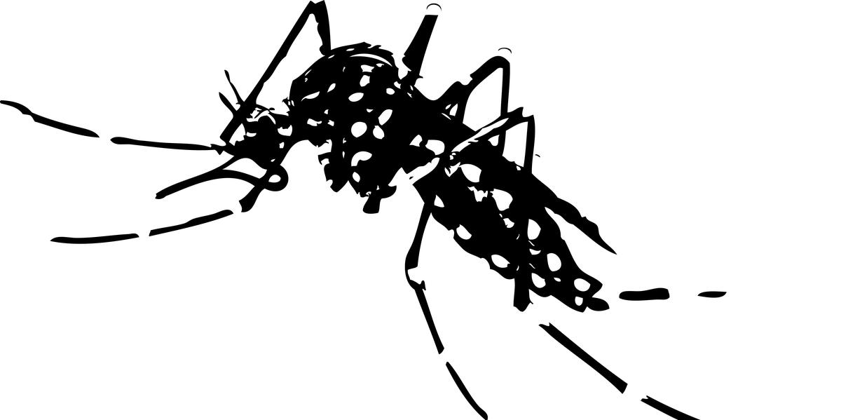 Alta de casos suspeitos nas últimas quatro semanas mantém alerta para a dengue