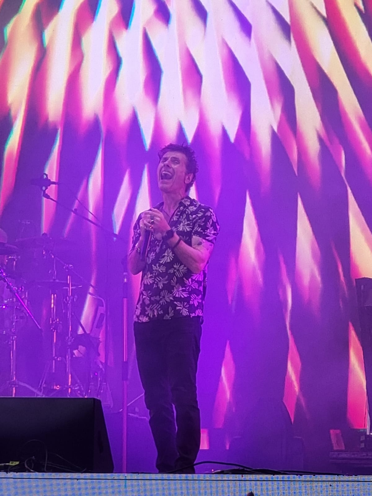 Capital Inicial marca último dia de 'Suzano Fest' com homenagem para Rita Lee e Renato Russo