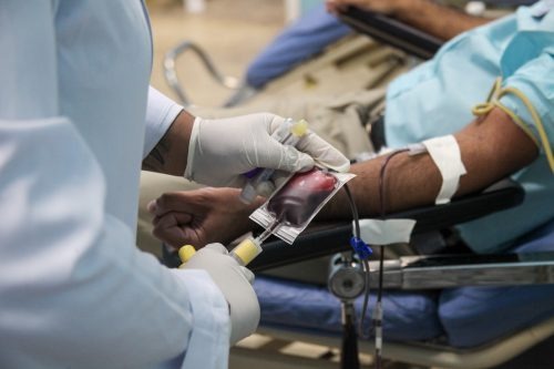 Médico fala sobre transplante de medula óssea; saiba como ser um doador