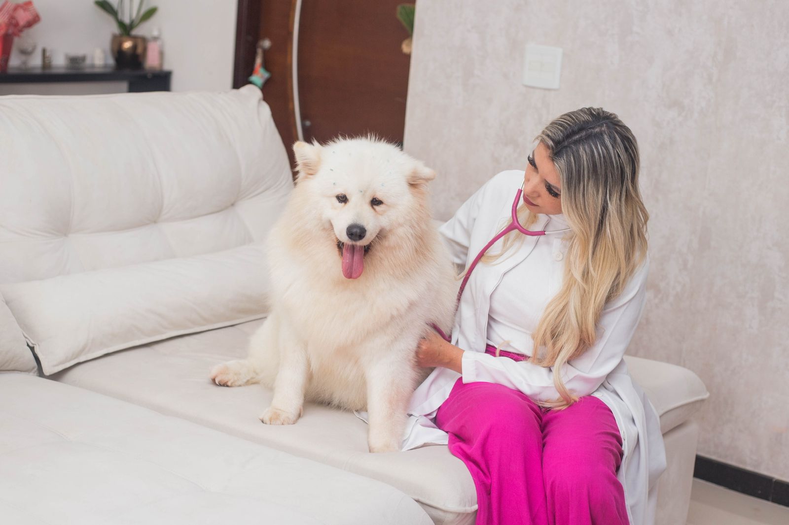 Entenda como funciona o atendimento veterinário em domicílio