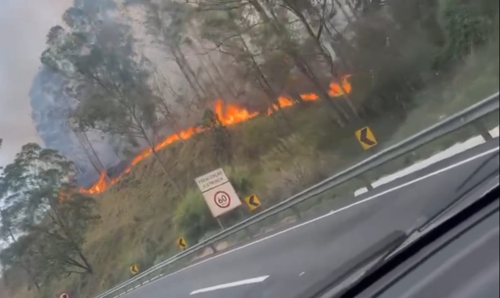 VÍDEO: Mogi-Dutra registra dois focos de incêndio nesta quarta-feira (25)