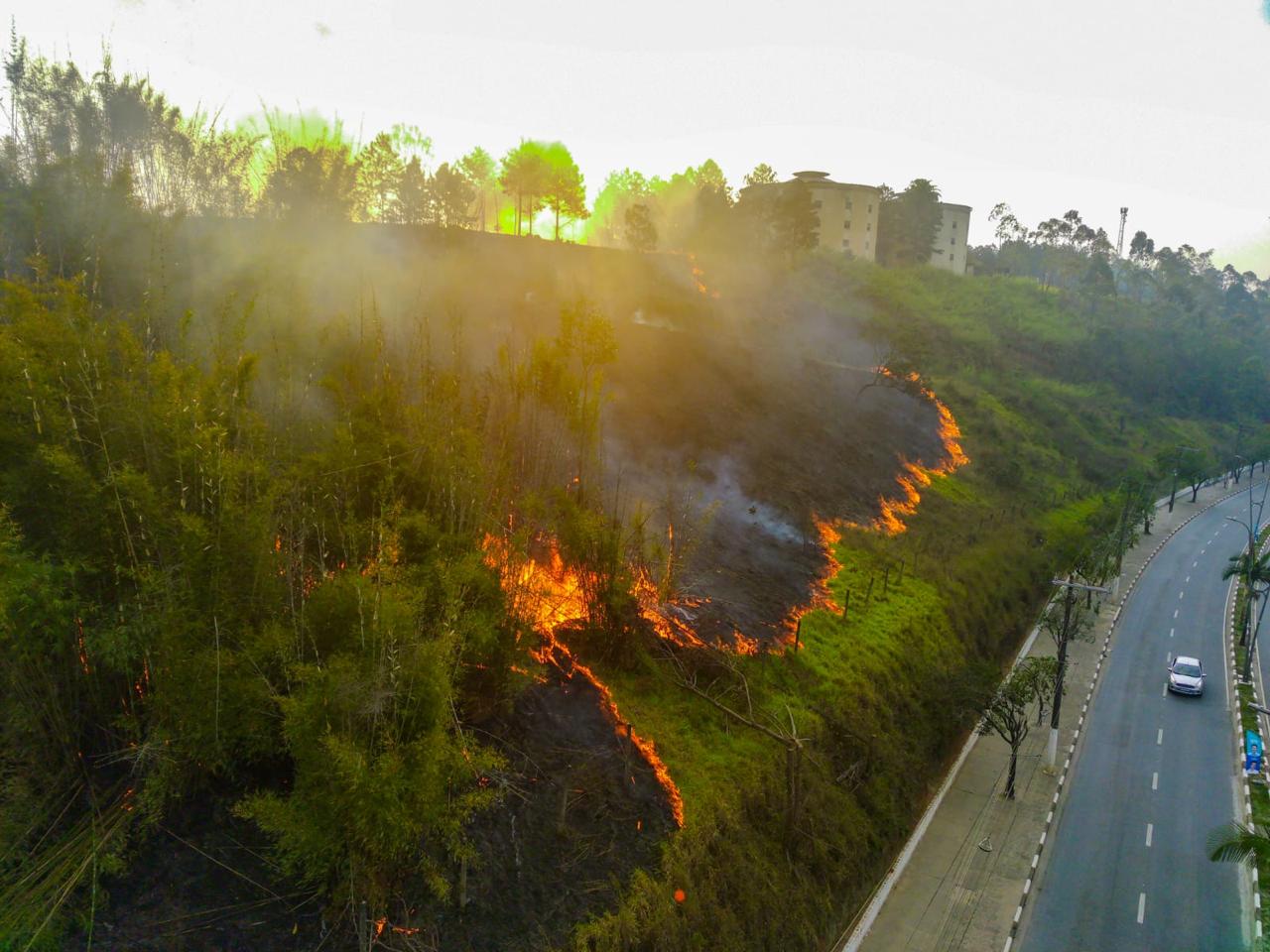 Santa Isabel registra aumento no número de incêndios e decreta situação de emergência