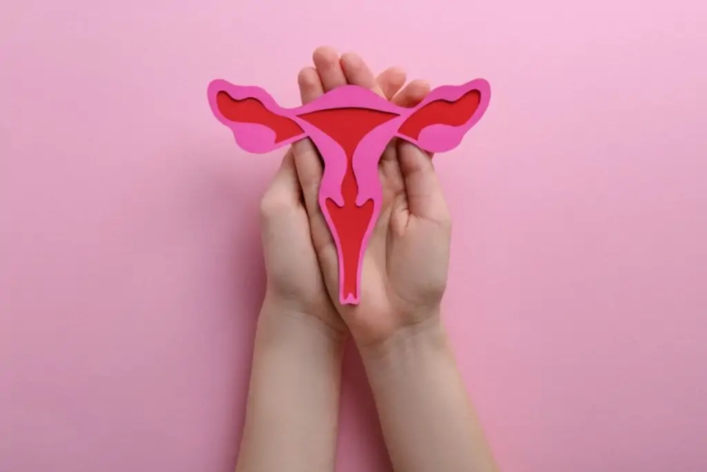 imagem de um utero sendo segurando por duas mãos em um fundo rosa