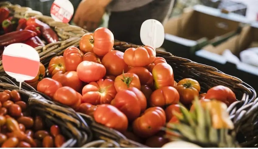 Alto Tietê recebe programação gratuita para celebrar o Dia Mundial da Alimentação