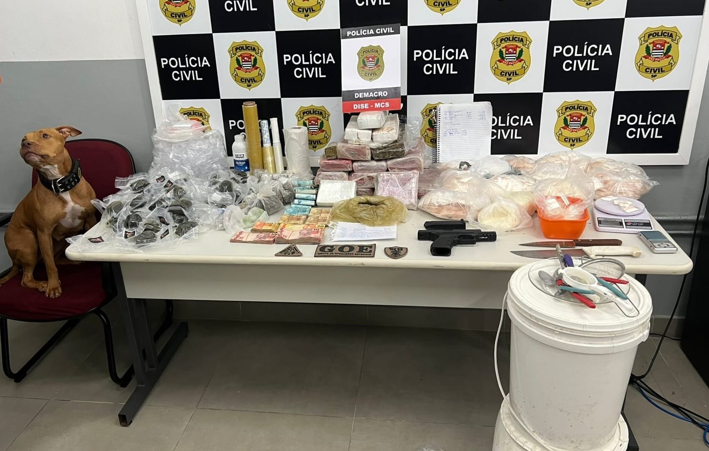 Dise de Mogi desarticula organização suspeita de tráfico de drogas na fronteira entre PR e SP
