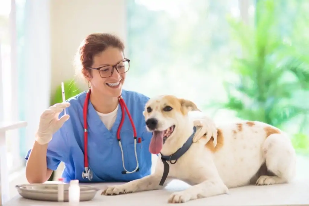 Médica segurando uma seringa e um cachorro deitado ao lado dela em uma mesa