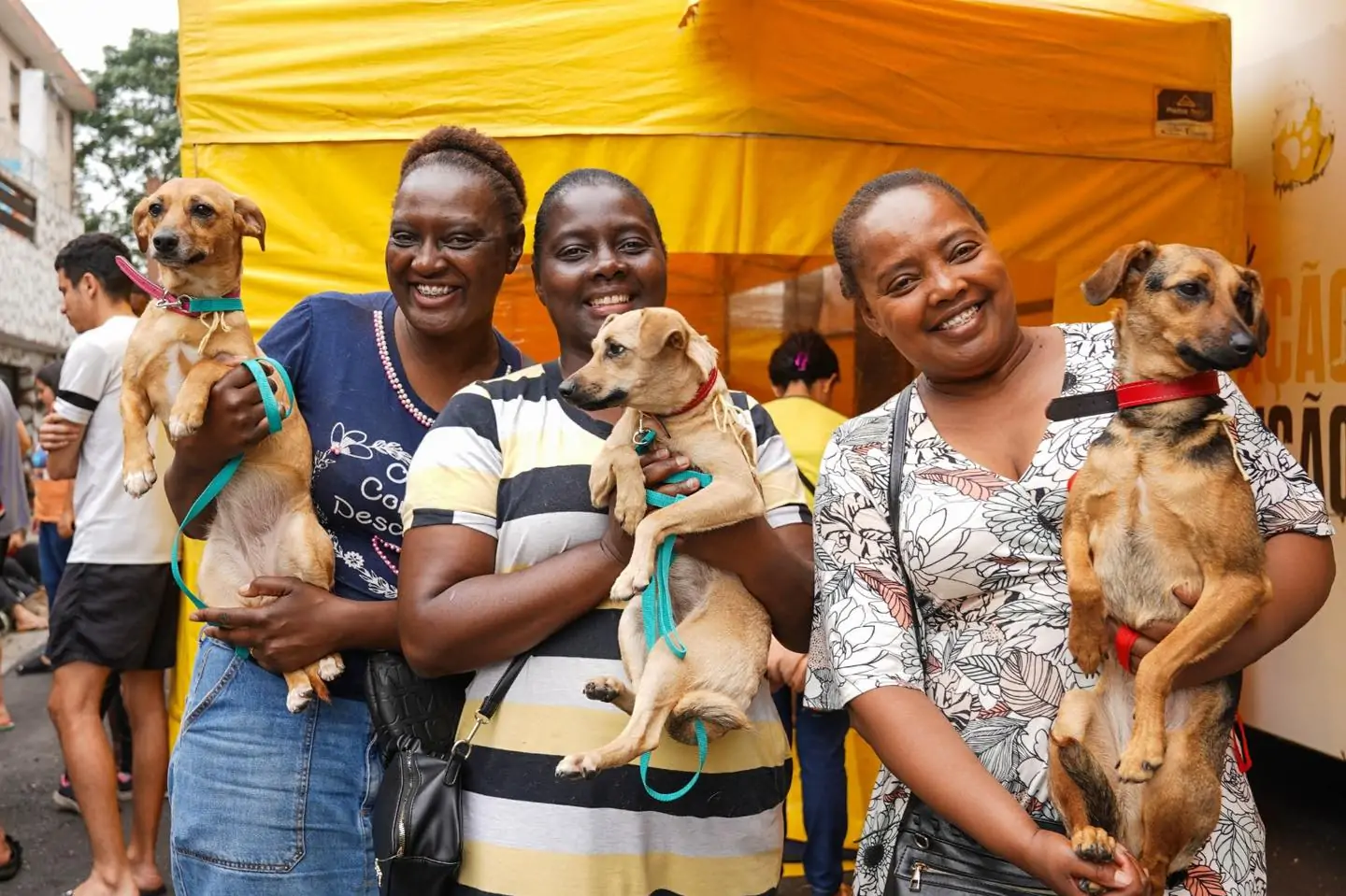 Ferraz abre inscrições para castração gratuita de cães e gatos nesta quarta-feira (26)