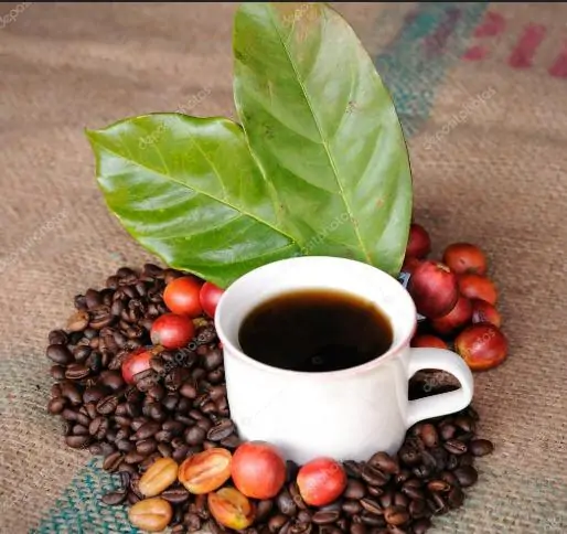 Alta no preço do café: nutricionista indica alternativas para a bebida