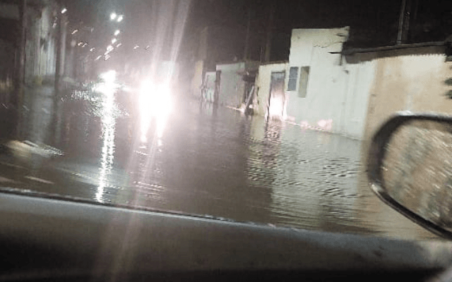 Mogi das Cruzes registra 43,5 mm de chuva em 24h, queda de árvore e alagamentos