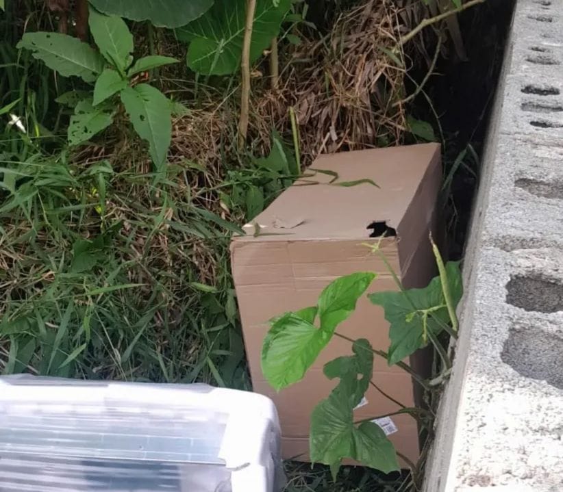 PM recupera carga de R$ 12 mil e localiza caminhão roubado em Suzano