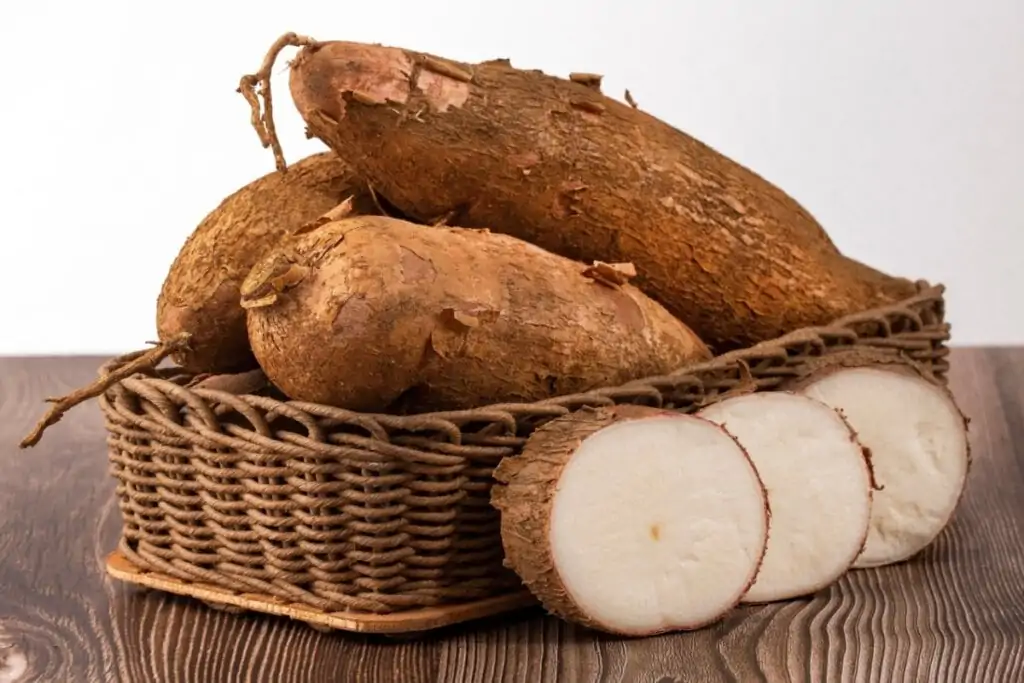 Cesto de palha com raízes de mandioca inteiras e pedaços cortados fora do recipiente