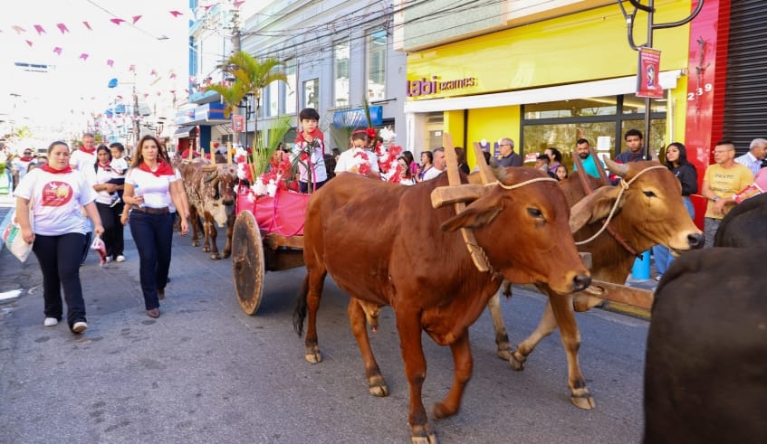 Carro de bois é tradicional no Cortejo da Entrada dos Palmitos na Festa do Divino | Divulgação/PMMC