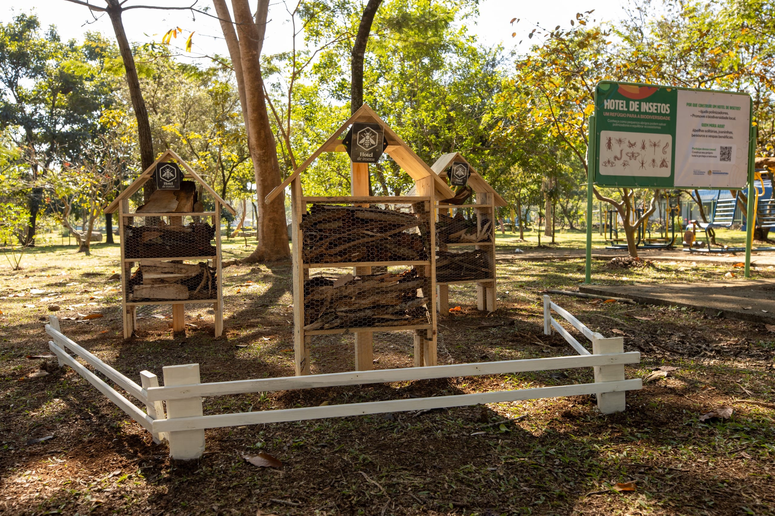 Itaquaquecetuba inaugura hotel de insetos; entenda