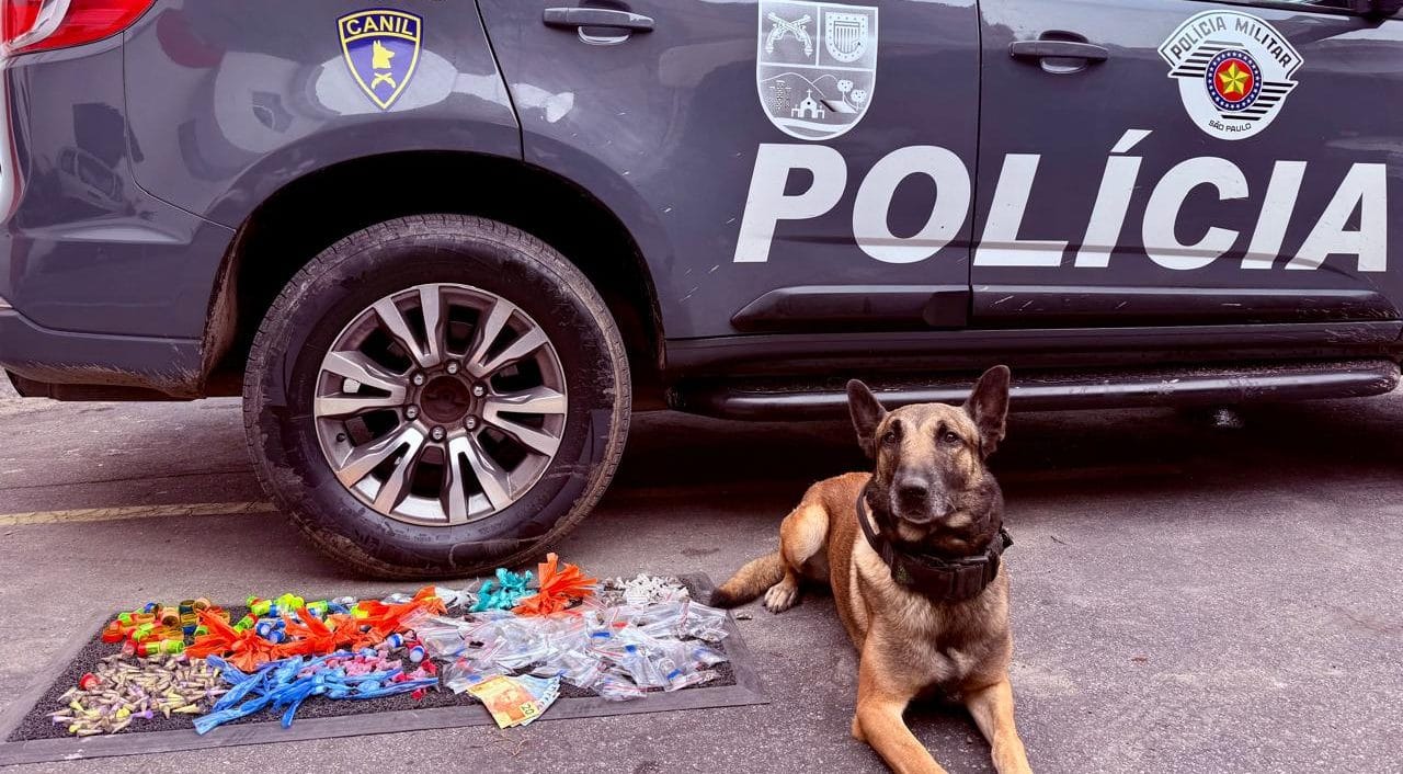 Dupla é presa com quase 500 porções de drogas escondidas, em Ferraz