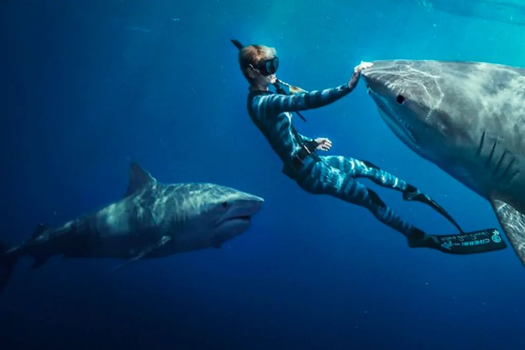 mulher no fundo do mar com roupa de nadadora e tocando cabeça de tubarão. há outro tubarão atrás dela