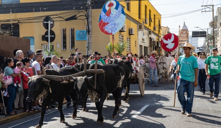Trânsito e transporte coletivo na região central terão alterações para a Entrada dos Palmitos