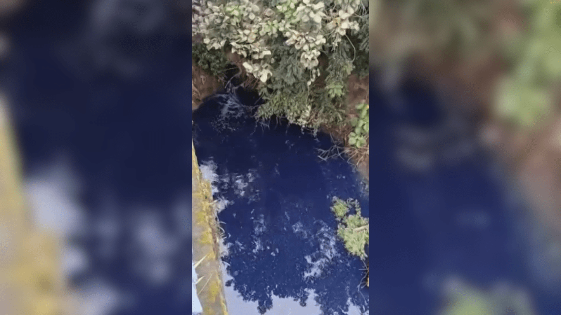 Cetesb investiga despejo de 'líquido azul' no Rio Tietê, em Mogi das Cruzes; veja vídeo