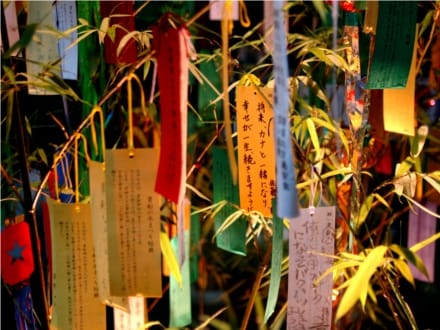 Tradicional do Tanabata Matsuri, o ritual Tanzaku é famoso pela realização de desejos