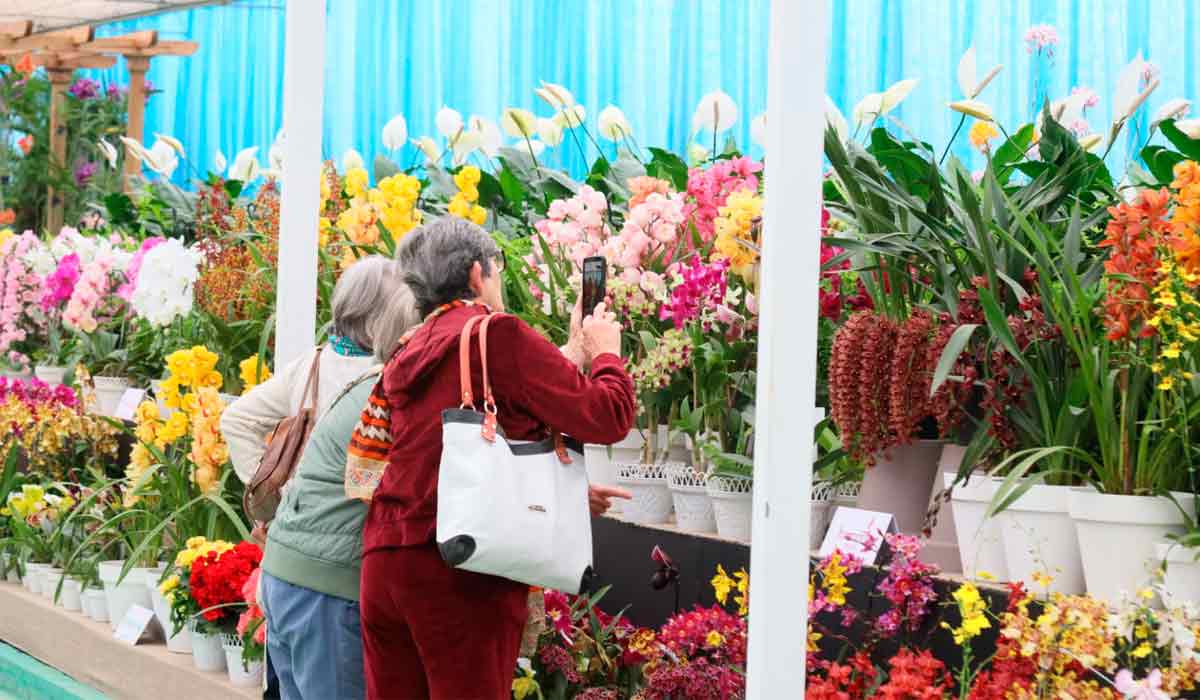 32ª Expo Aflord recebe quase 10 mil flores de diferentes espécies