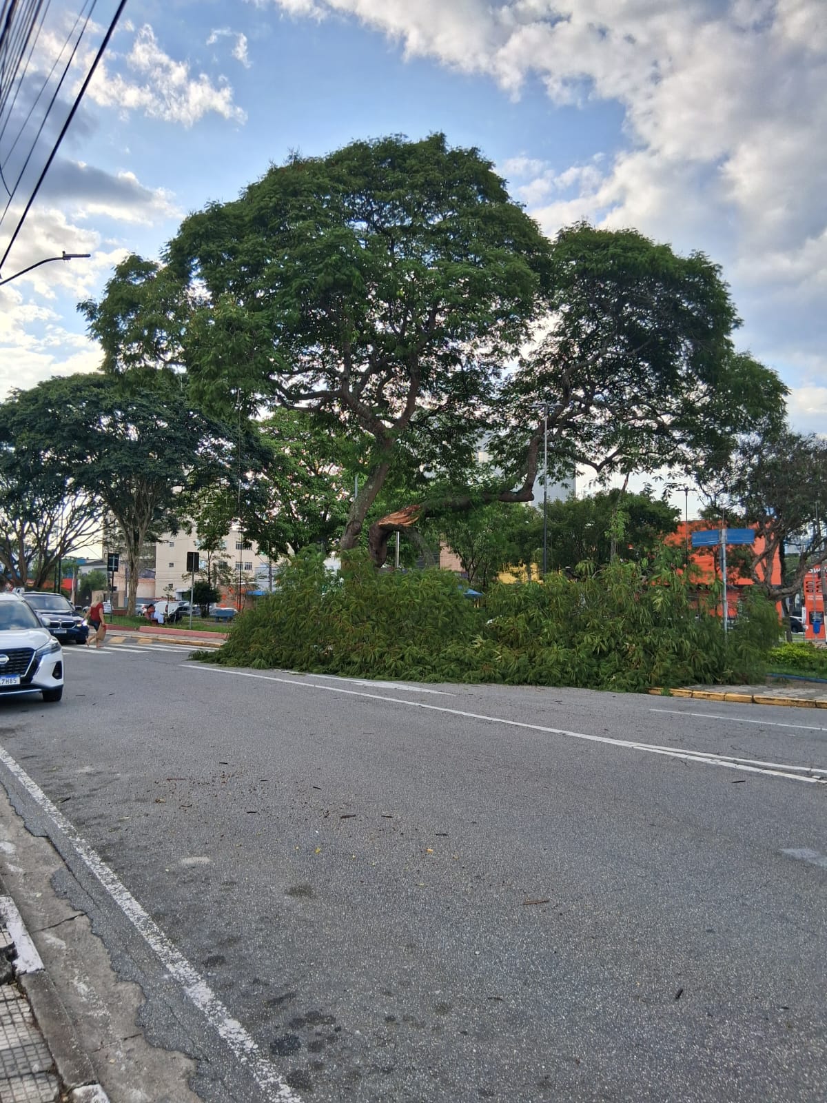 Árvore caída atrapalha o trânsito no entorno da Praça Norival Tavares, em Mogi