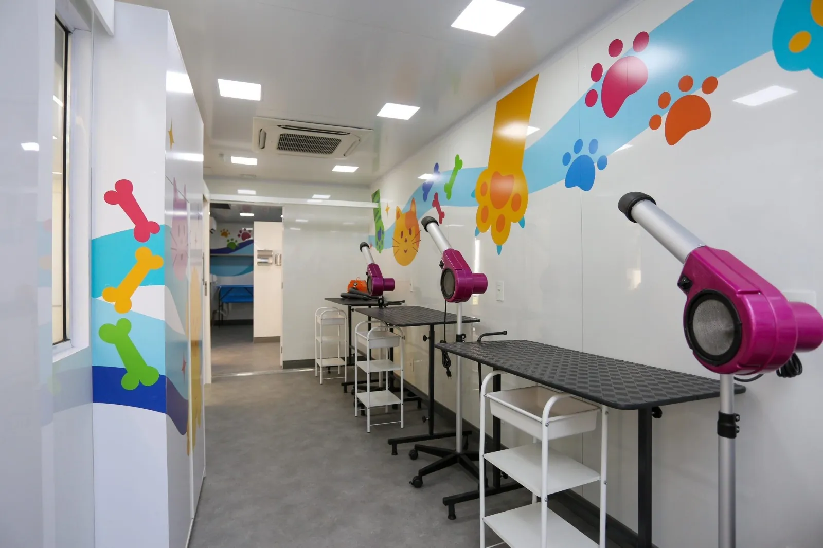 Mogi das Cruzes abre inscrições para curso gratuito de banho e tosa; saiba mais