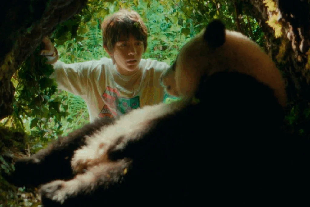 Menino em ambiente natural observando um panda de perto dentro de uma área cercada por vegetação