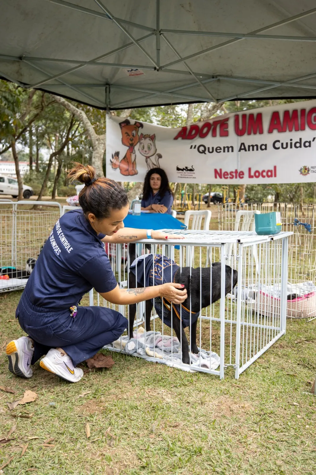 Itaquaquecetuba realiza feira de adoção de cães e gatos nesta quinta-feira (22)