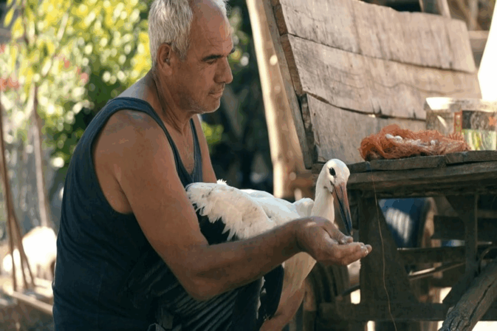 Homem com cabelo curto, grisalho, usando regata azul com uma cegonha no colo e dando comida para ela