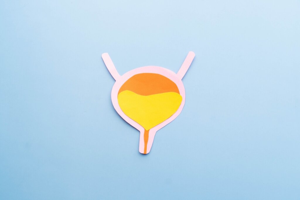 5 mitos e verdades sobre o coletor urinário feminino