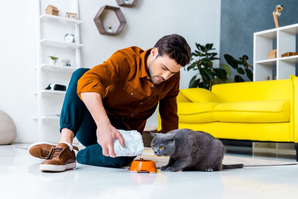 Qual tipo de tutor é você? Descubra como é a sua relação com o seu animal de estimação 