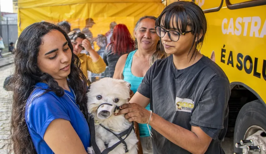 Mogi realiza mutirão de castração no Santo Ângelo na próxima semana; inscrições abrem dia 24