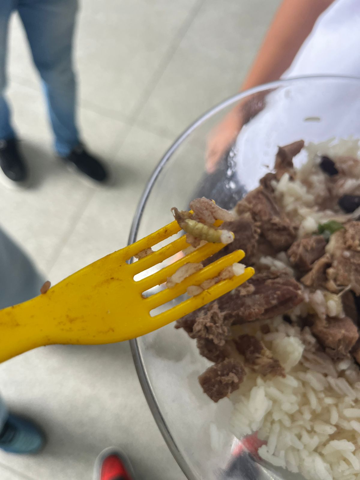 Alunos encontram larvas na merenda escolar da rede de ensino estadual em Mogi das Cruzes