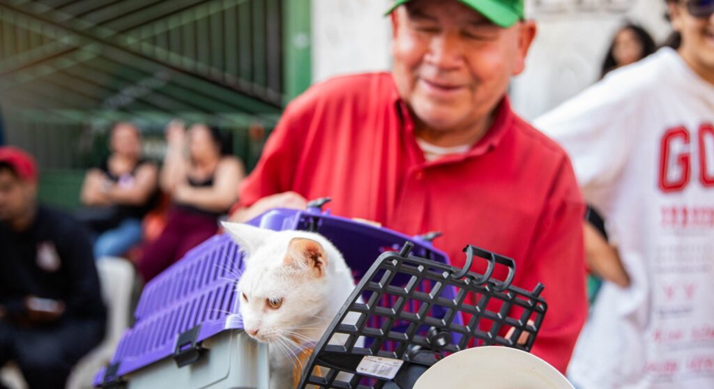 Ferraz realiza mutirão de castração gratuita para cães e gatos neste fim de semana