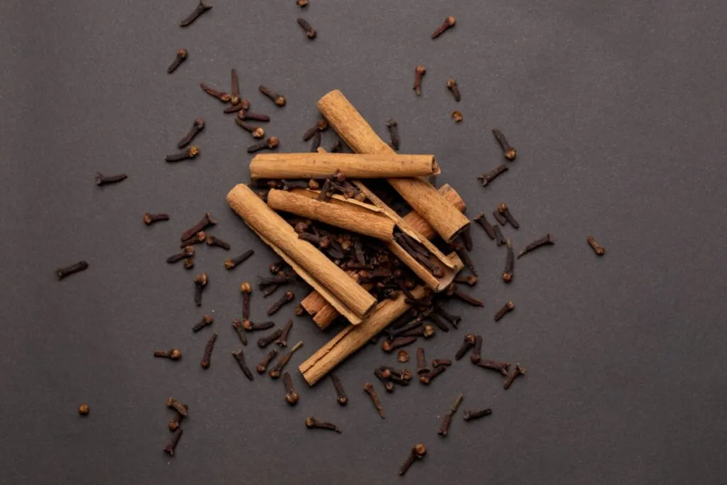 Cravo e canela em uma superfície cinza-escuro 