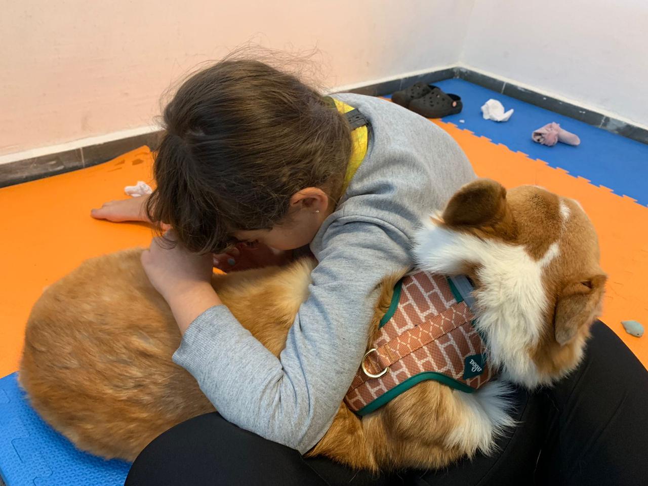 'Animais de estimação podem contribuir significativamente para a saúde mental', afirma psicóloga
