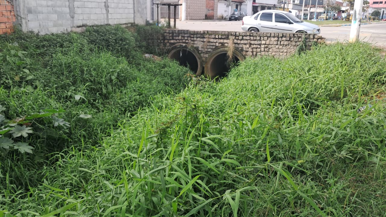 Suzano: moradores do Distrito de Palmeiras reclamam de falta de canalização e roçagem e descarte irregular em córrego