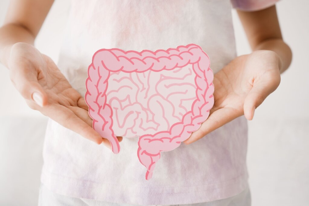 Imagem de uma pessoa com camiseta branca e com as mãos segurando a ilustração de um intestino humano