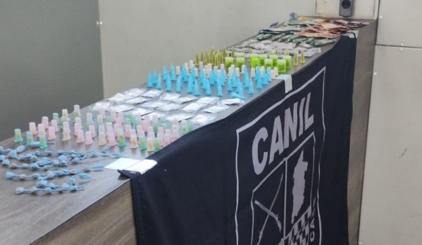 Com auxílio de cão farejador, GCM de Mogi apreende 264 porções de drogas no Conjunto Santo Ângelo
