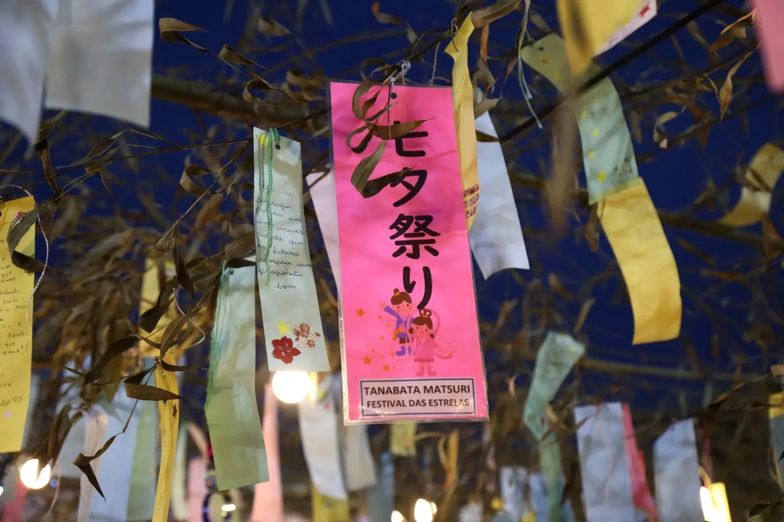 Tanabata Matsuri termina neste domingo (26) com programação cultural e gastronomia japonesa em Mogi