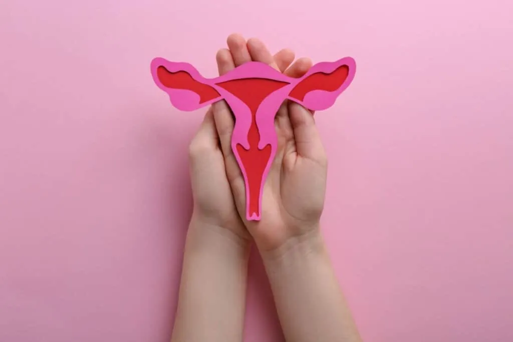 Microbiota humana: entenda como os microrganismos do corpo influenciam a saúde