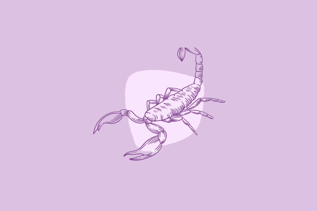 Uma ilustração em linha roxa de um escorpião, representando o signo de Escorpião.