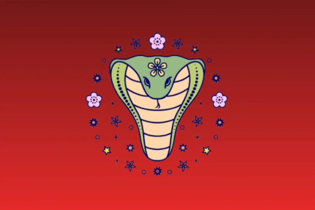 Ilustração estilizada de uma cobra naja verde com uma flor amarela na testa e listras na barriga, cercada por um círculo de flores roxas e estrelas amarelas e azuis, sobre um fundo vermelho gradiente.