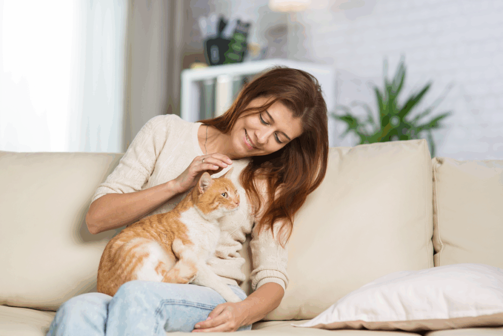 Gatos também pedem carinho: 7 comportamentos que mostram que eles querem atenção