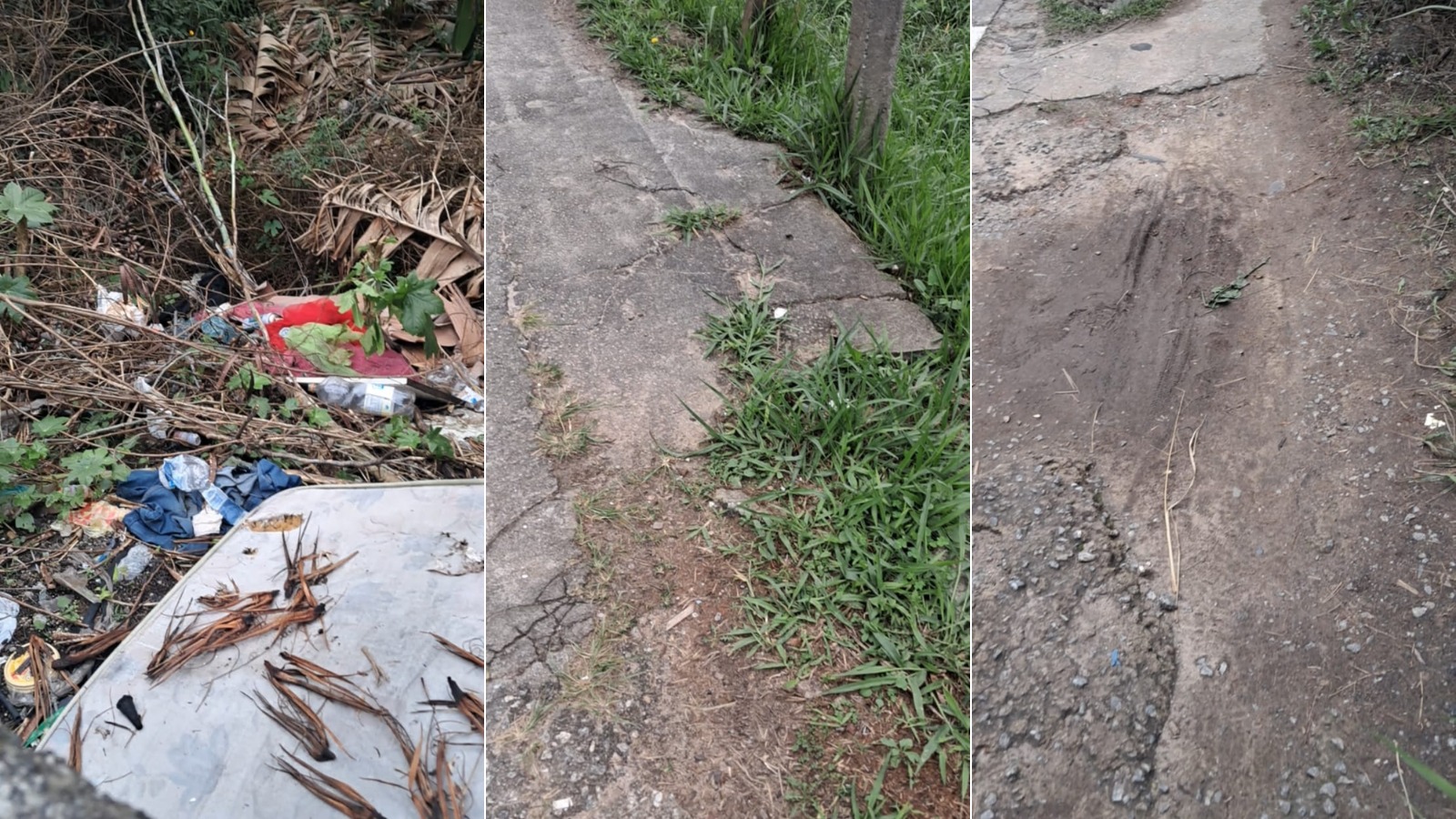 Moradores relatam problemas em calçadas de terrenos baldios no Jardim São Pedro, em Mogi das Cruzes