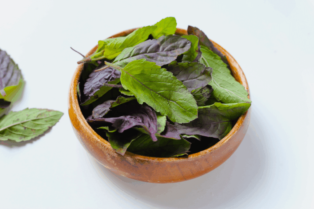 Tulsi: conheça 5 benefícios do “manjericão-sagrado” para a saúde