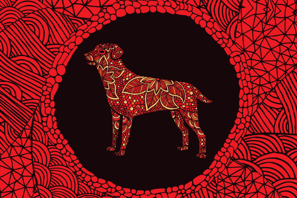 Signo do Cachorro no Horóscopo Chinês: conheça a personalidade e as principais características