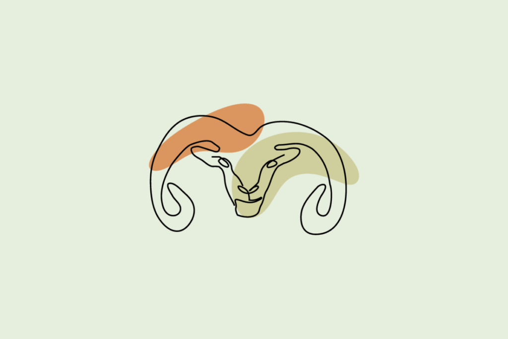 Ilustração do signo Áries: desenho em traço contínuo preto de uma cabeça de carneiro vista de frente, com dois grandes chifres enrolados em espiral nas laterais, sobre manchas orgânicas em laranja e verde; em fundo verde-sálvia.