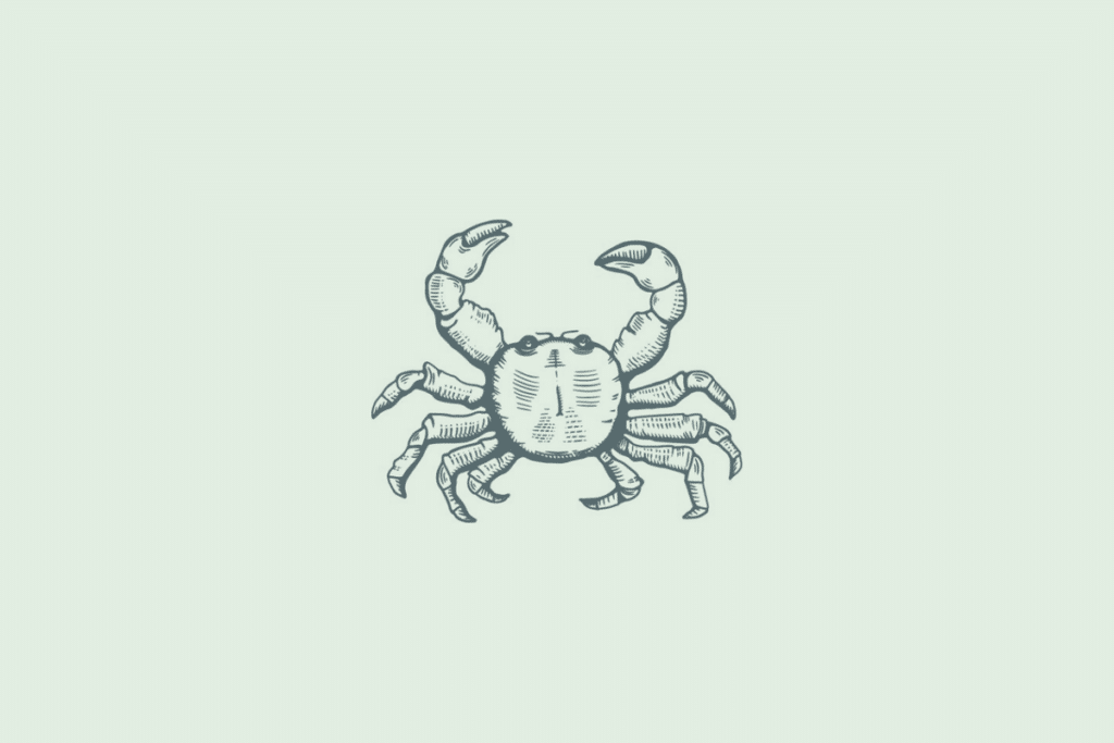 Ilustração em traço de um caranguejo visto de cima, com as pinças erguidas, representando o signo de Câncer, sobre fundo verde-claro.