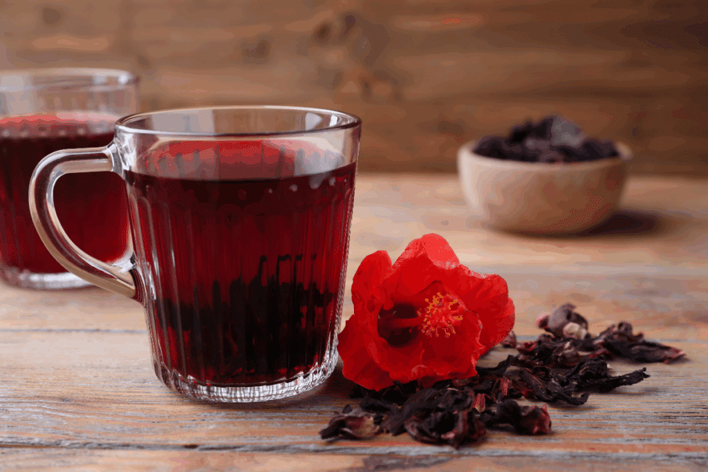 Hibisco faz bem para quê? Veja os benefícios e os cuidados ao consumir a planta